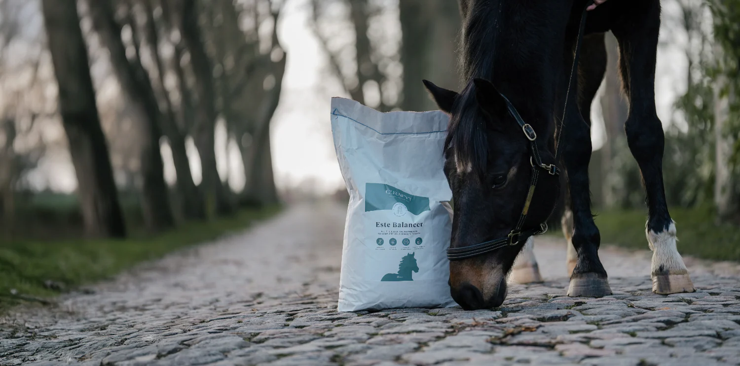Pure Vitality for Your Pets
