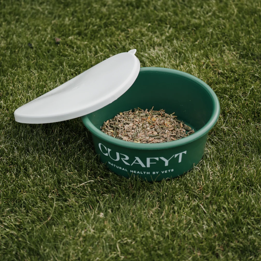 Curafyt Musli Bowl With Lid - Image 3