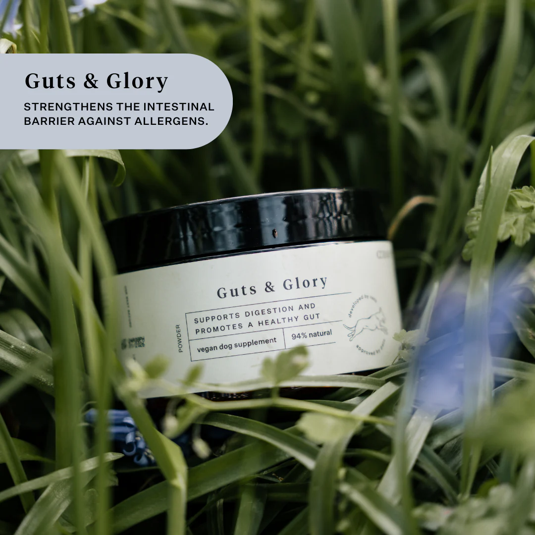 Itchy Skin Bundle - Image 3
