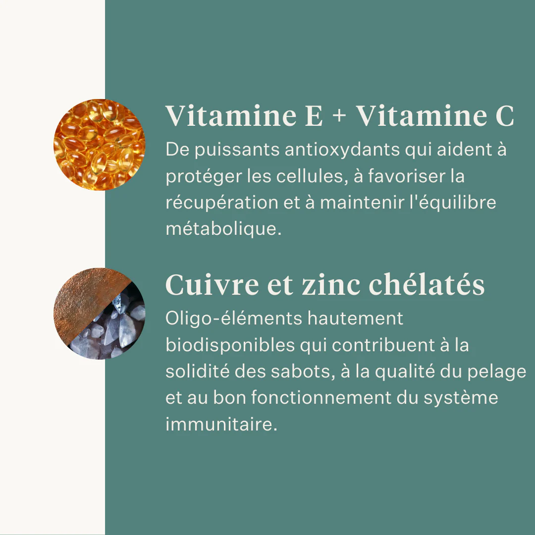 ESTE Balancer by Dr. Sara Torfs - Image 10