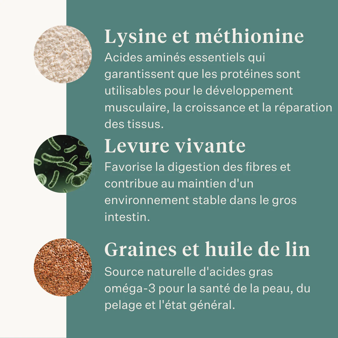 ESTE Balancer by Dr. Sara Torfs - Image 11