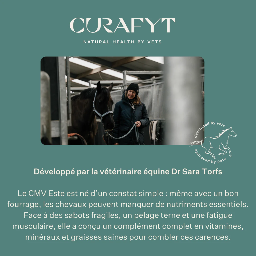 ESTE Balancer by Dr. Sara Torfs - Image 12