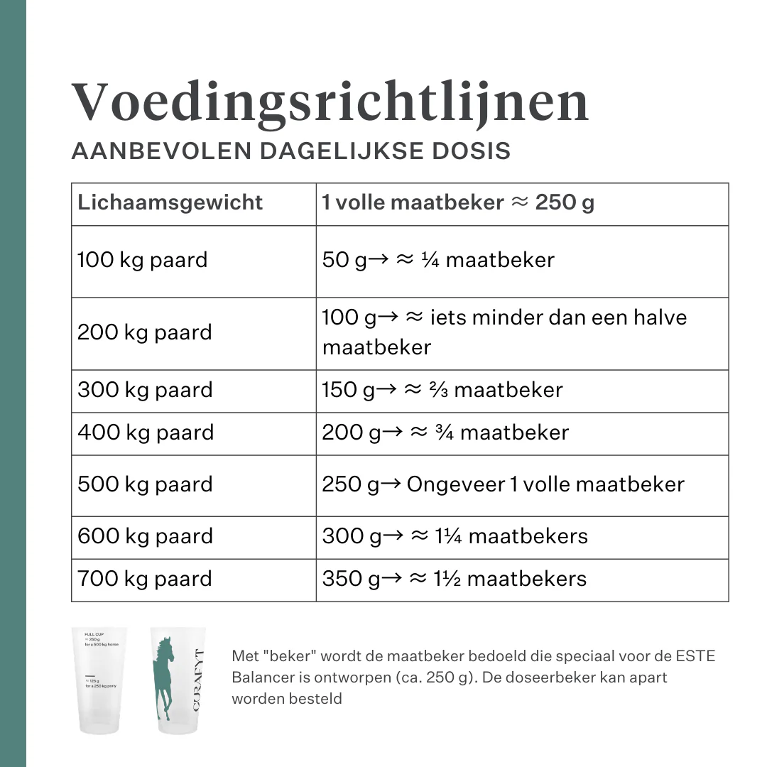 ESTE Balancer by Dr. Sara Torfs - Image 14