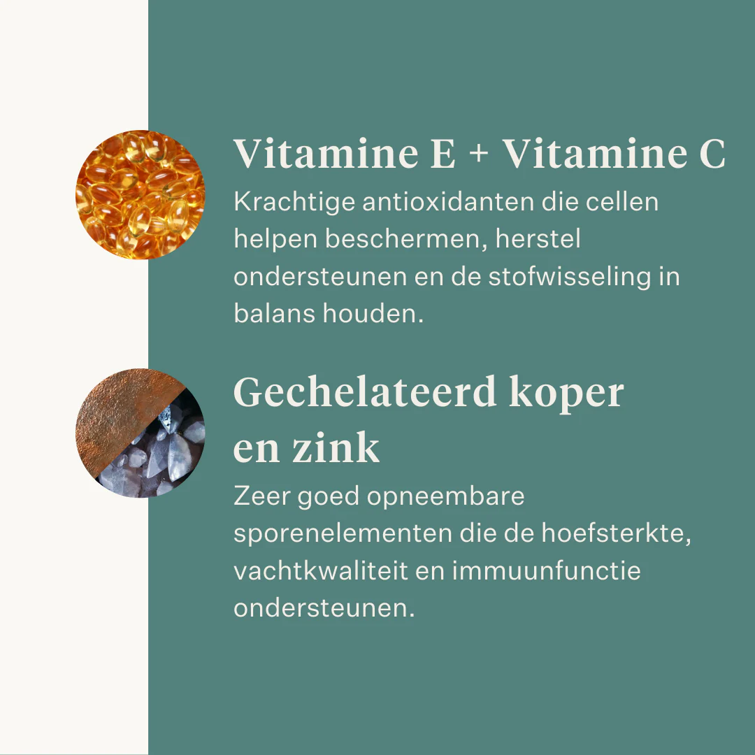 ESTE Balancer by Dr. Sara Torfs - Image 15