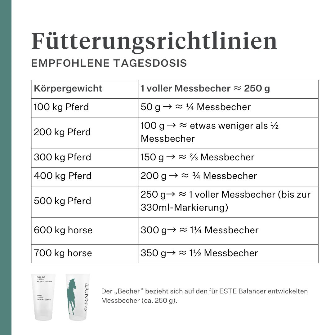 ESTE Balancer by Dr. Sara Torfs - Image 19