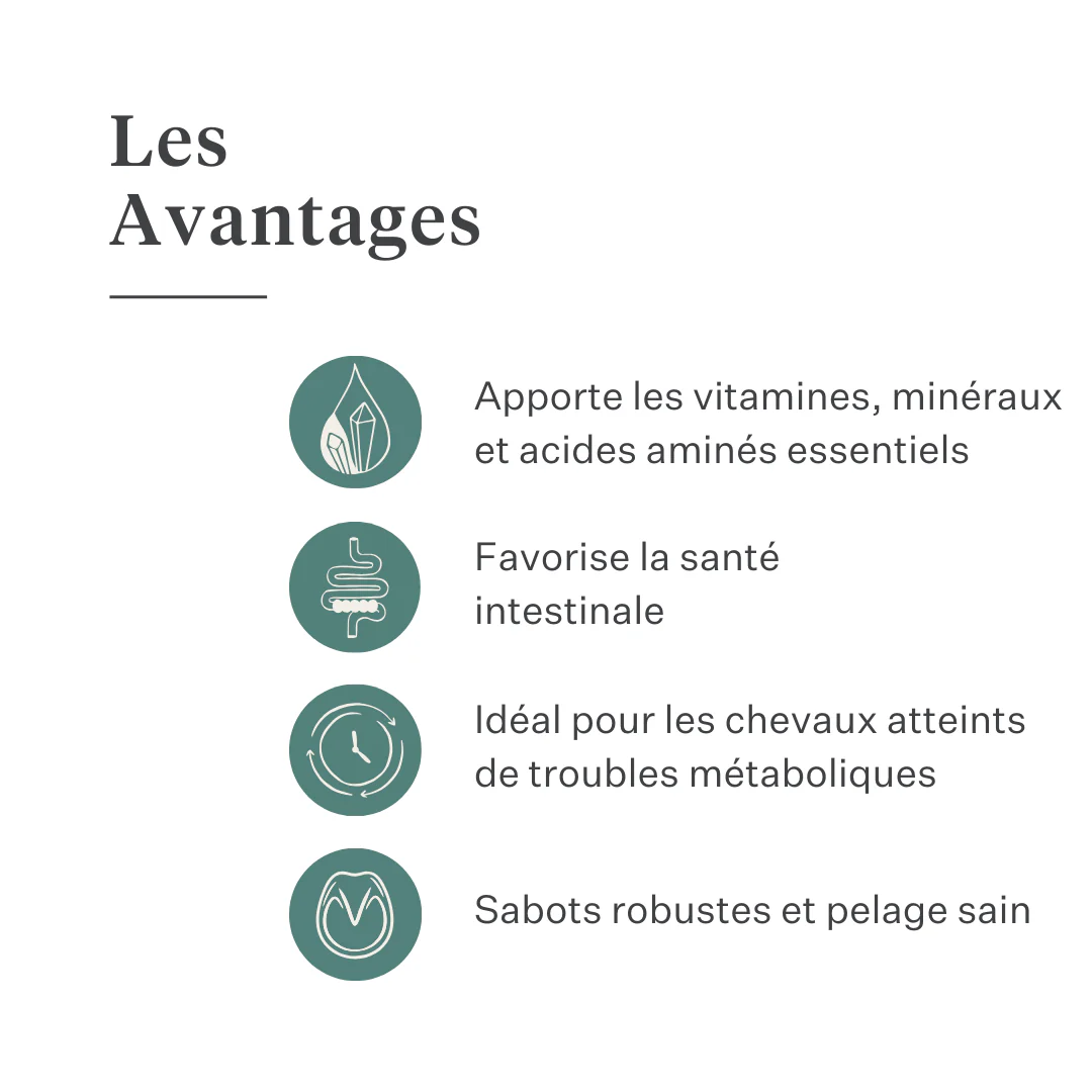 ESTE Balancer by Dr. Sara Torfs - Image 8