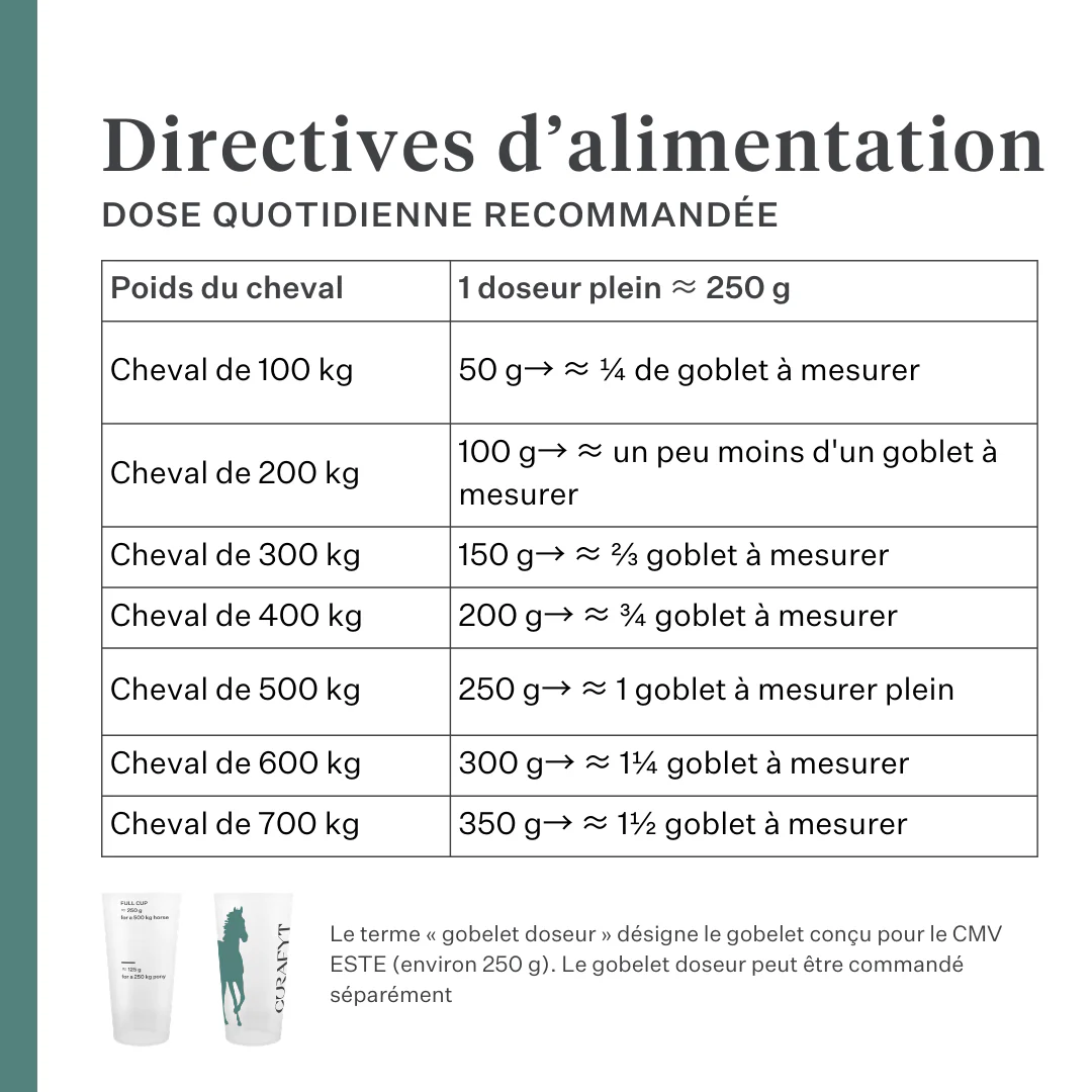 ESTE Balancer by Dr. Sara Torfs - Image 9