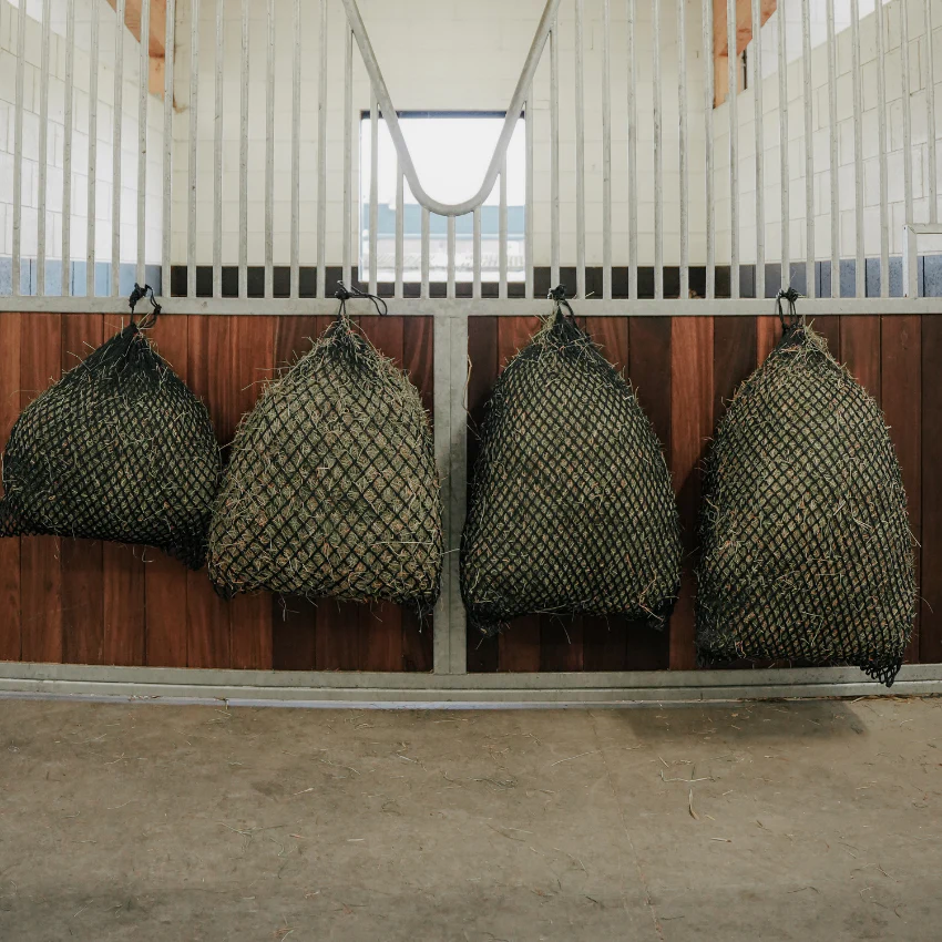 Horse supplements and products