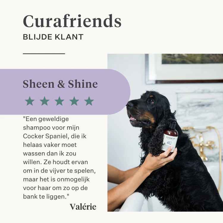 Sheen & Shine Shampoo - Image 19