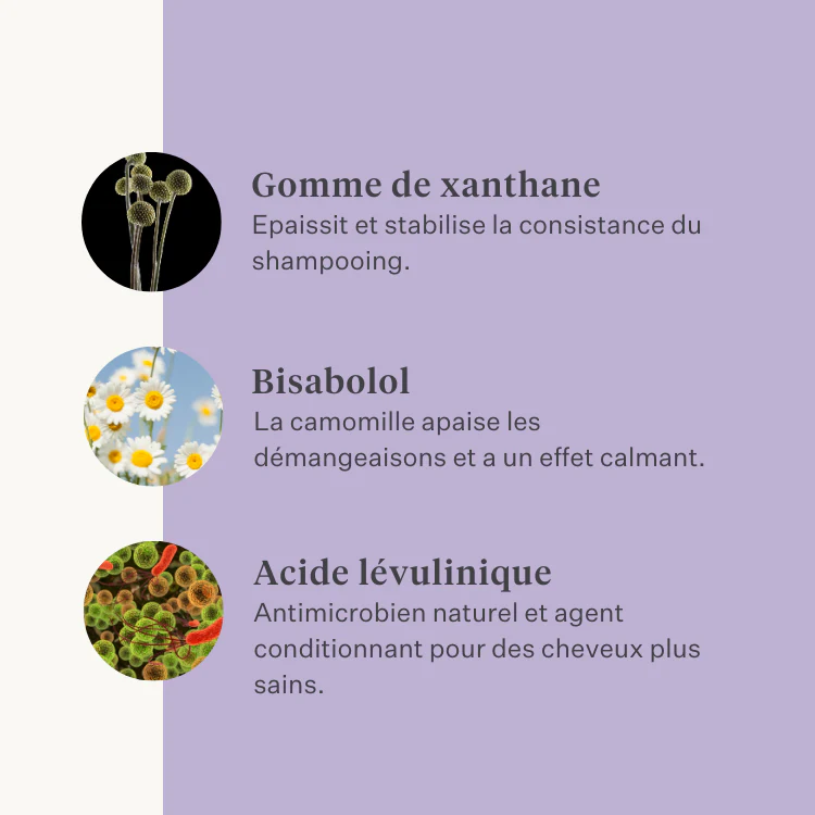 Sheen & Shine Shampoo - Image 25