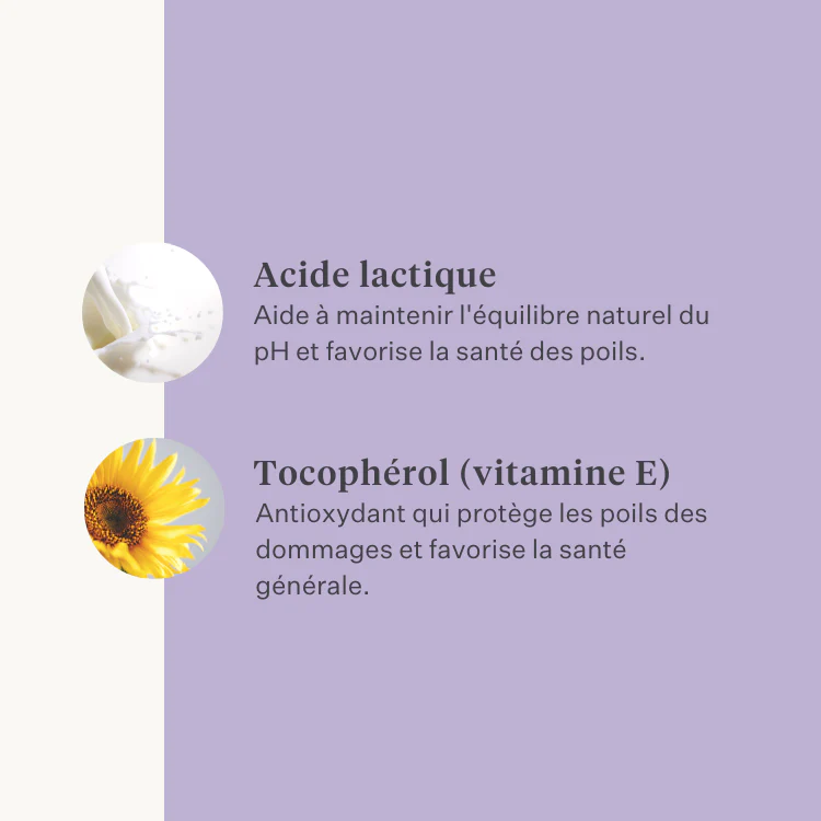 Sheen & Shine Shampoo - Image 27