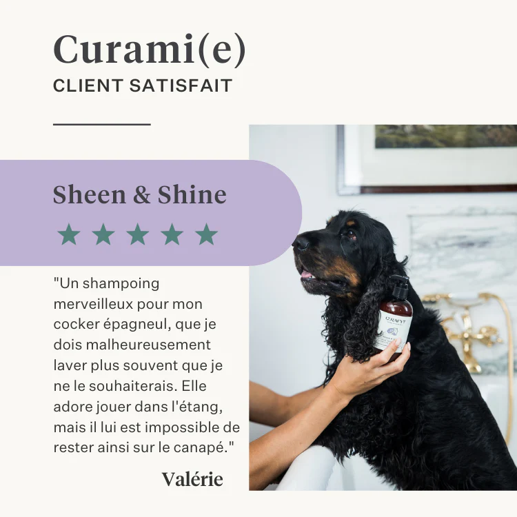 Sheen & Shine Shampoo - Image 28