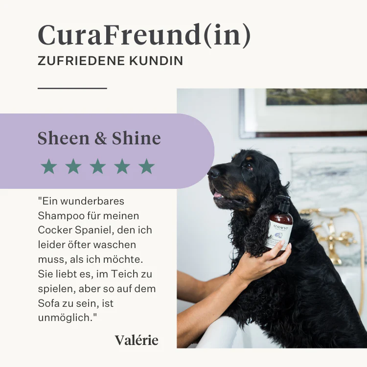 Sheen & Shine Shampoo - Image 37