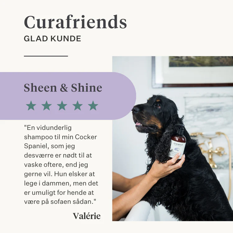 Sheen & Shine Shampoo - Image 46