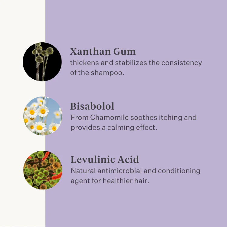 Sheen & Shine Shampoo - Image 6
