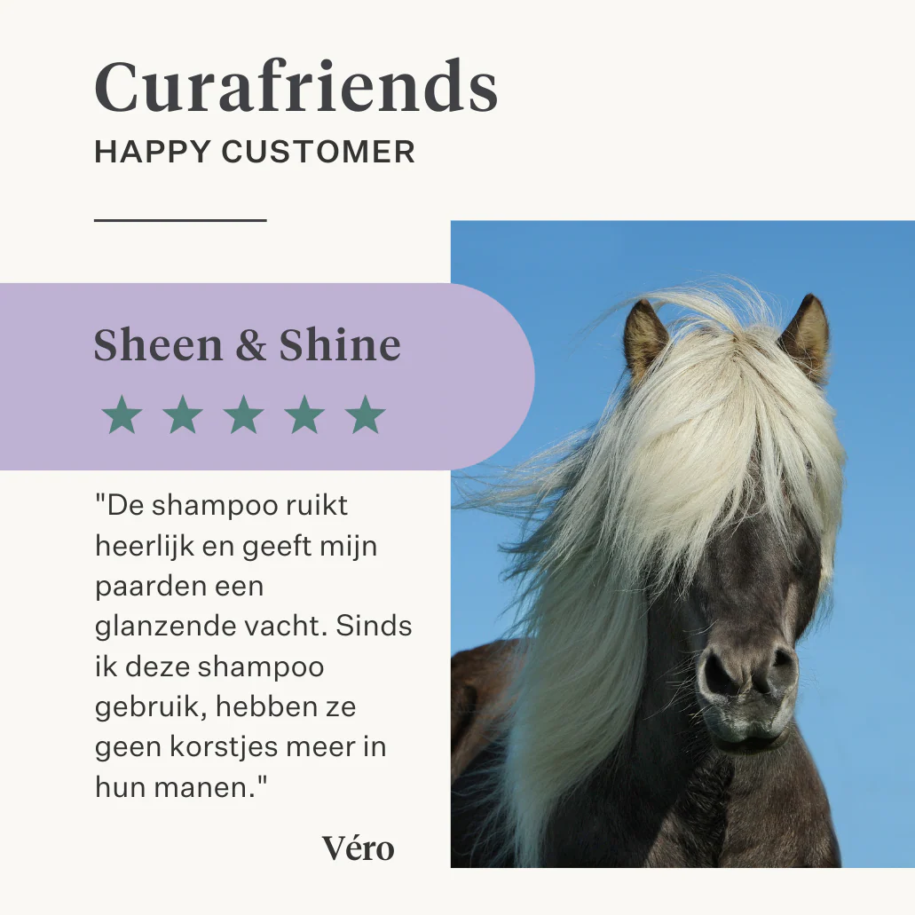 Sheen & Shine Shampoo - Image 12