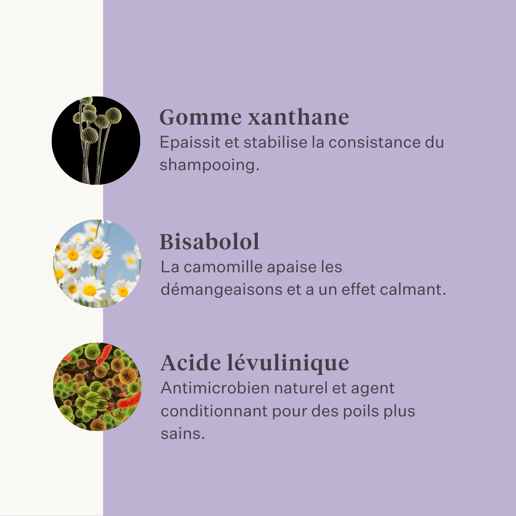 Sheen & Shine Shampoo - Image 24