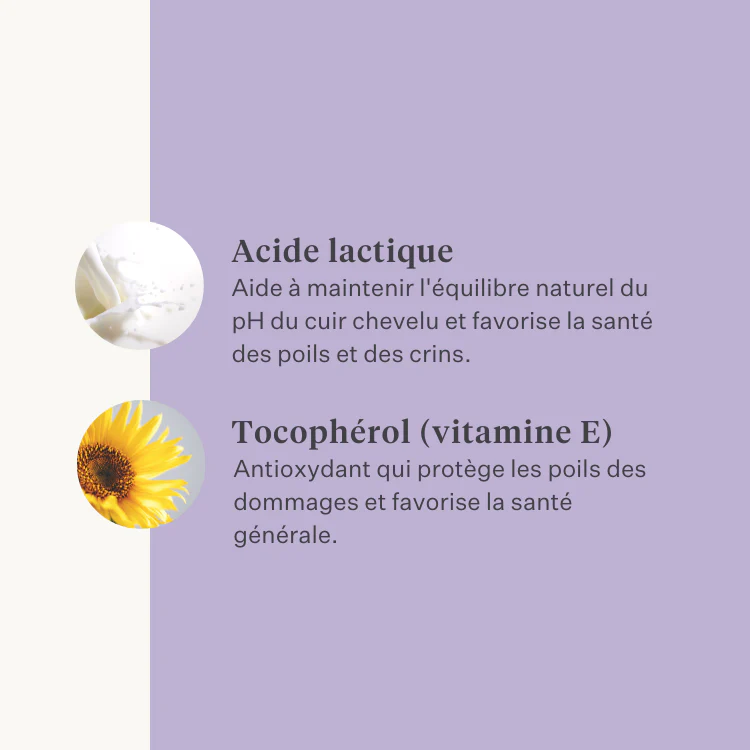 Sheen & Shine Shampoo - Image 27