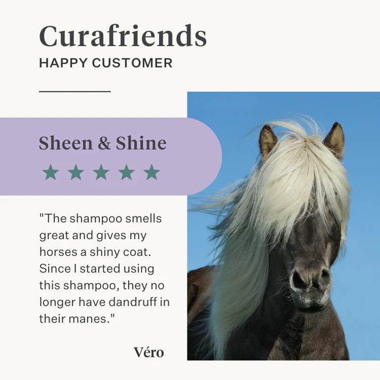 Sheen & Shine Shampoo - Image 3