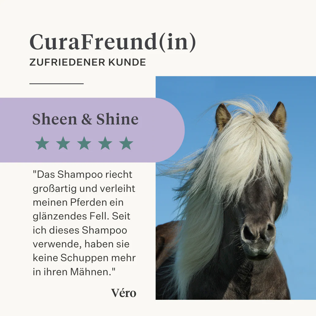Sheen & Shine Shampoo - Image 30