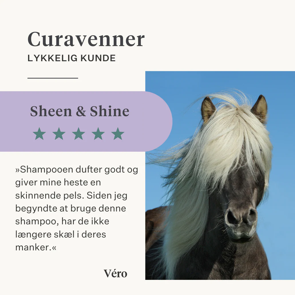 Sheen & Shine Shampoo - Image 39