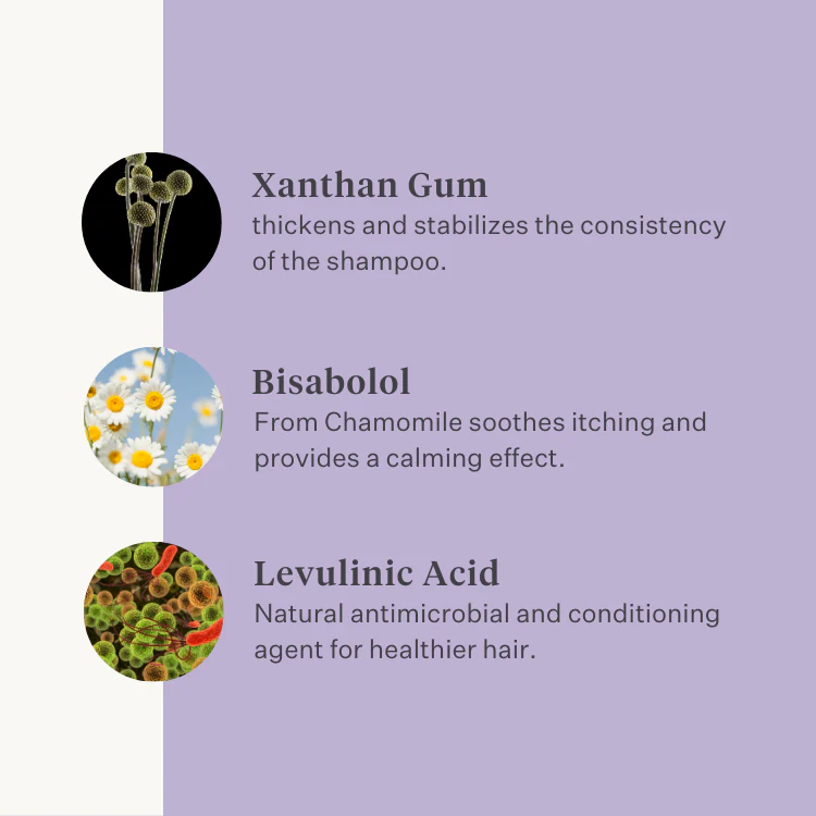 Sheen & Shine Shampoo - Image 6