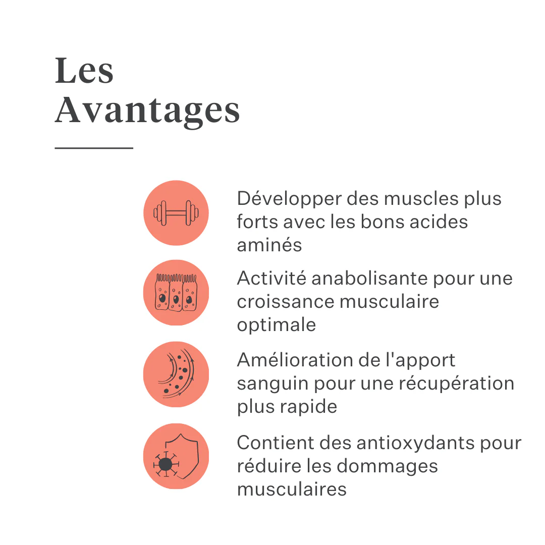 Body & Build Supplement - Image 11