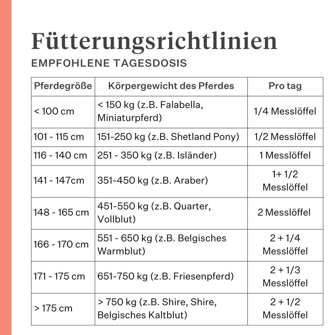 Body & Build Supplement - Image 20