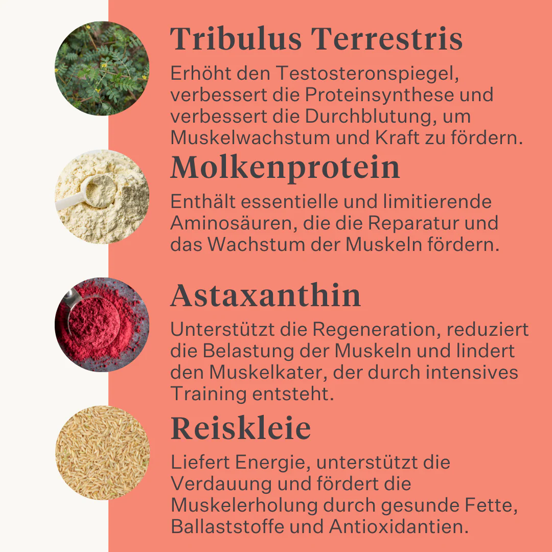 Body & Build Supplement - Image 21