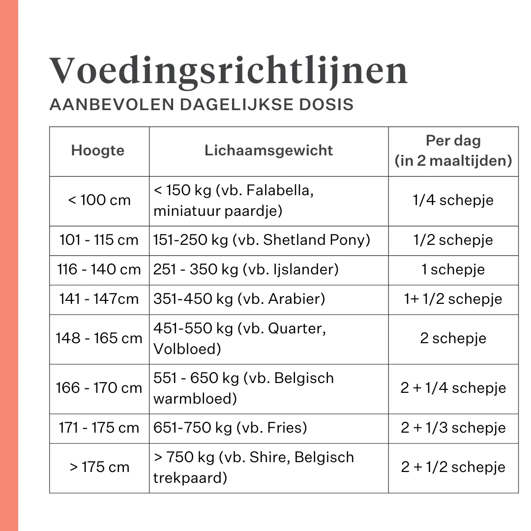 Body & Build Supplement - Image 28