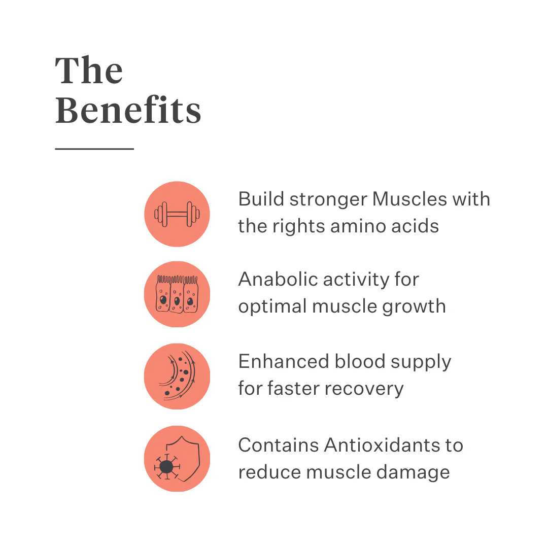 Body & Build Supplement - Image 3