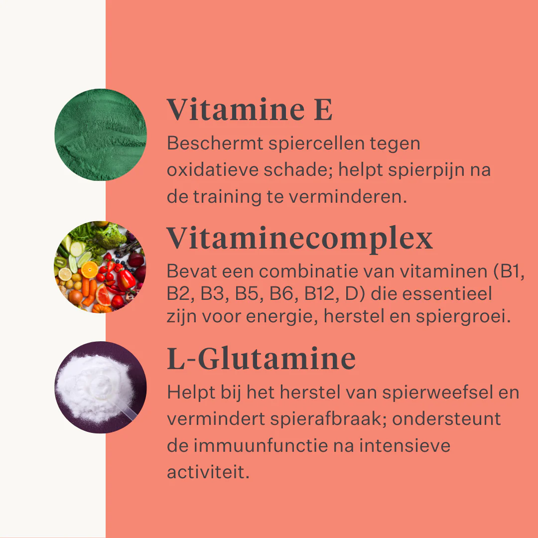 Body & Build Supplement - Image 31