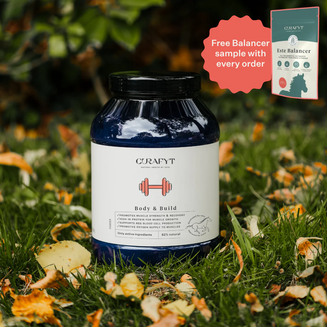 Body & Build Supplement - Image 35