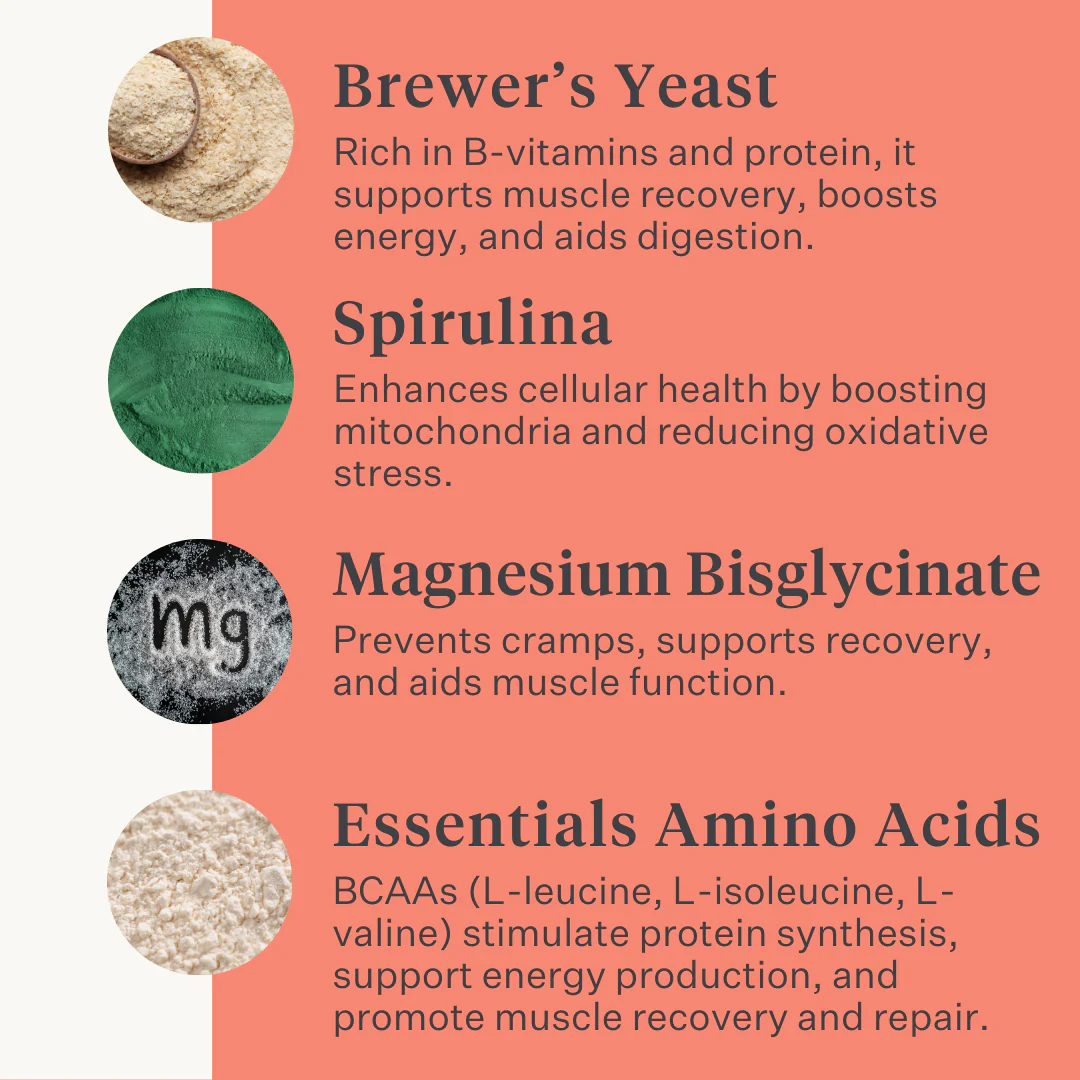 Body & Build Supplement - Image 6