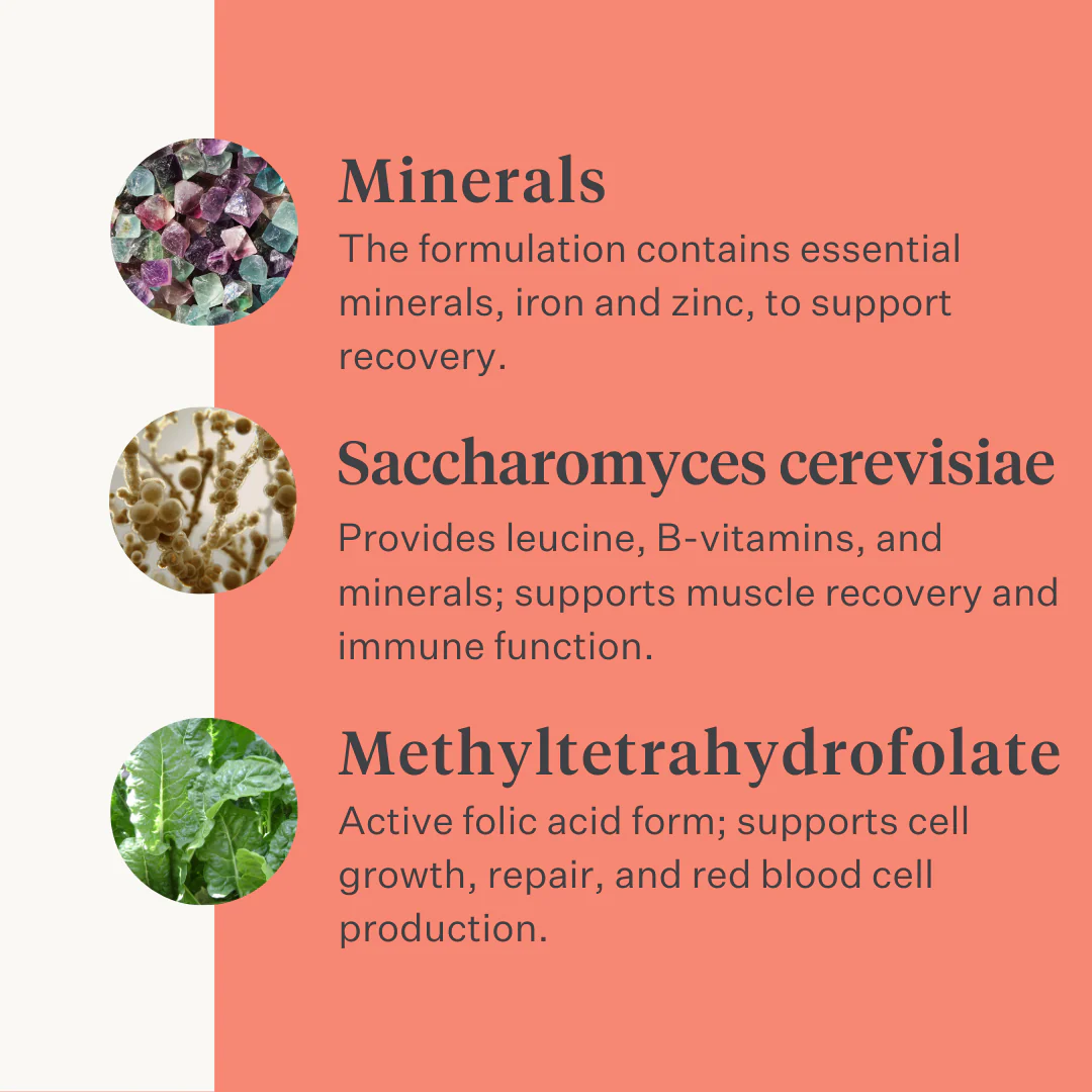 Body & Build Supplement - Image 8