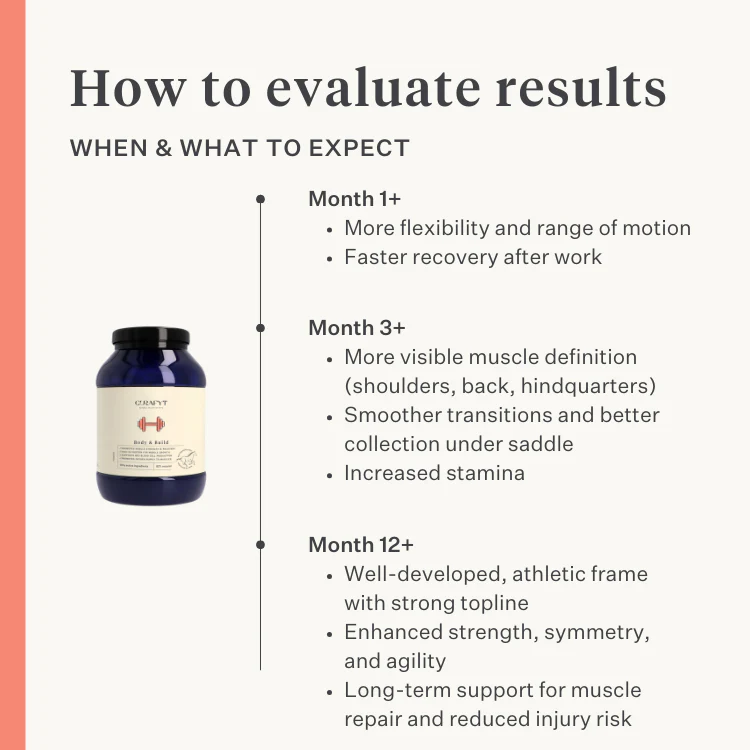 Body & Build Supplement - Image 9