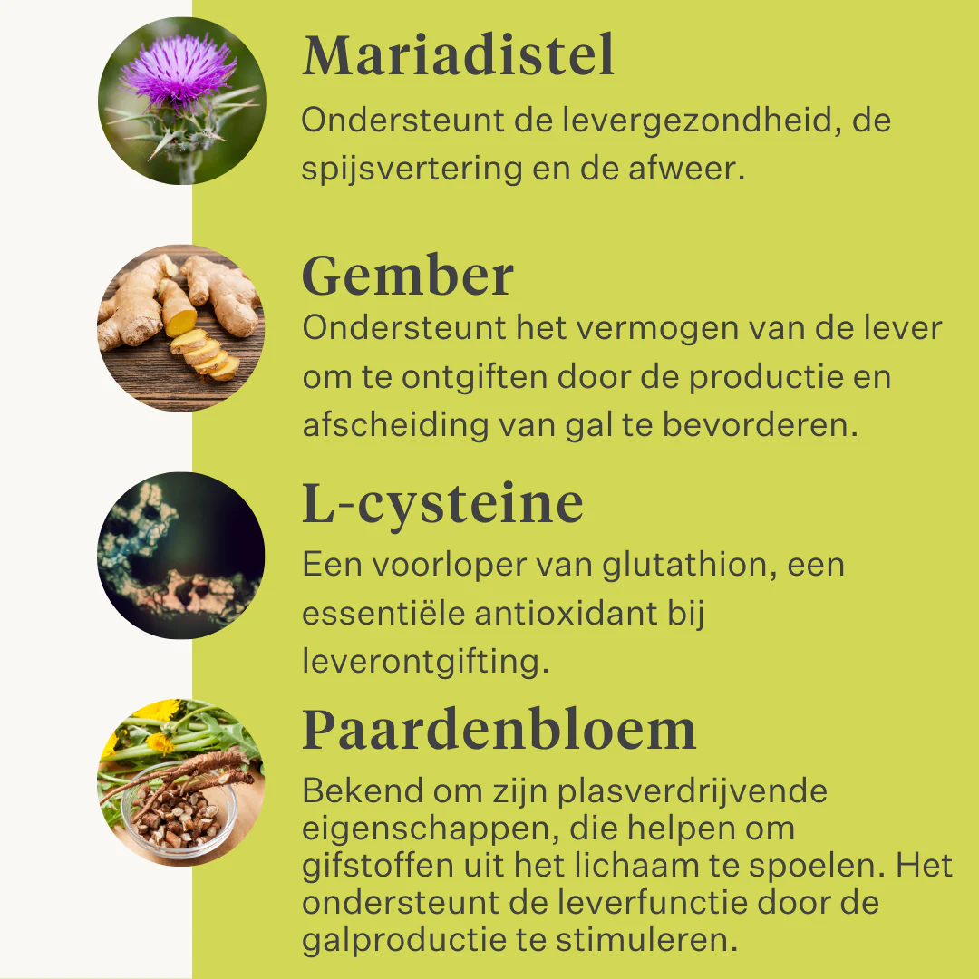 Detox & Drain Supplement - Image 11