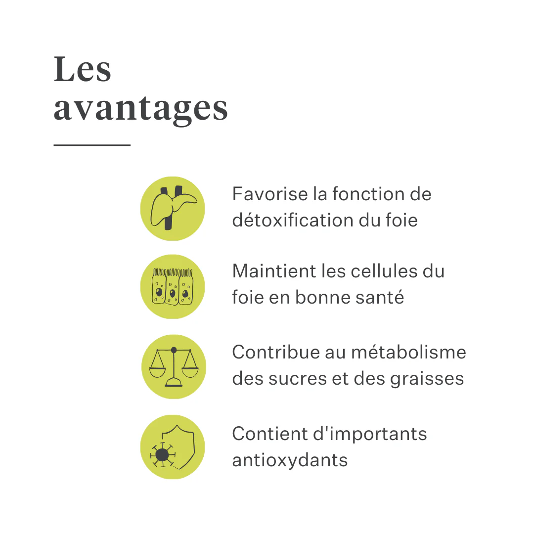 Detox & Drain Supplement - Image 13
