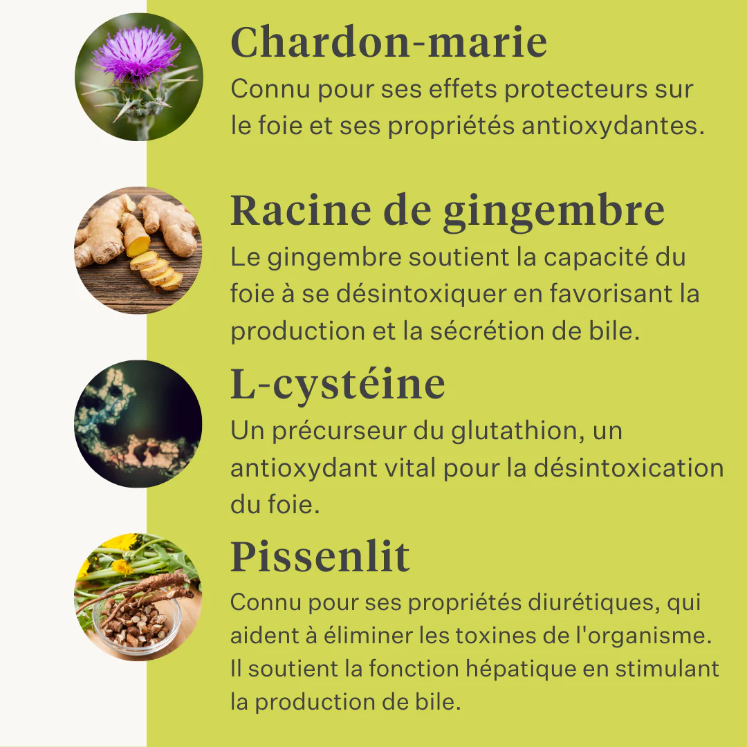 Detox & Drain Supplement - Image 16
