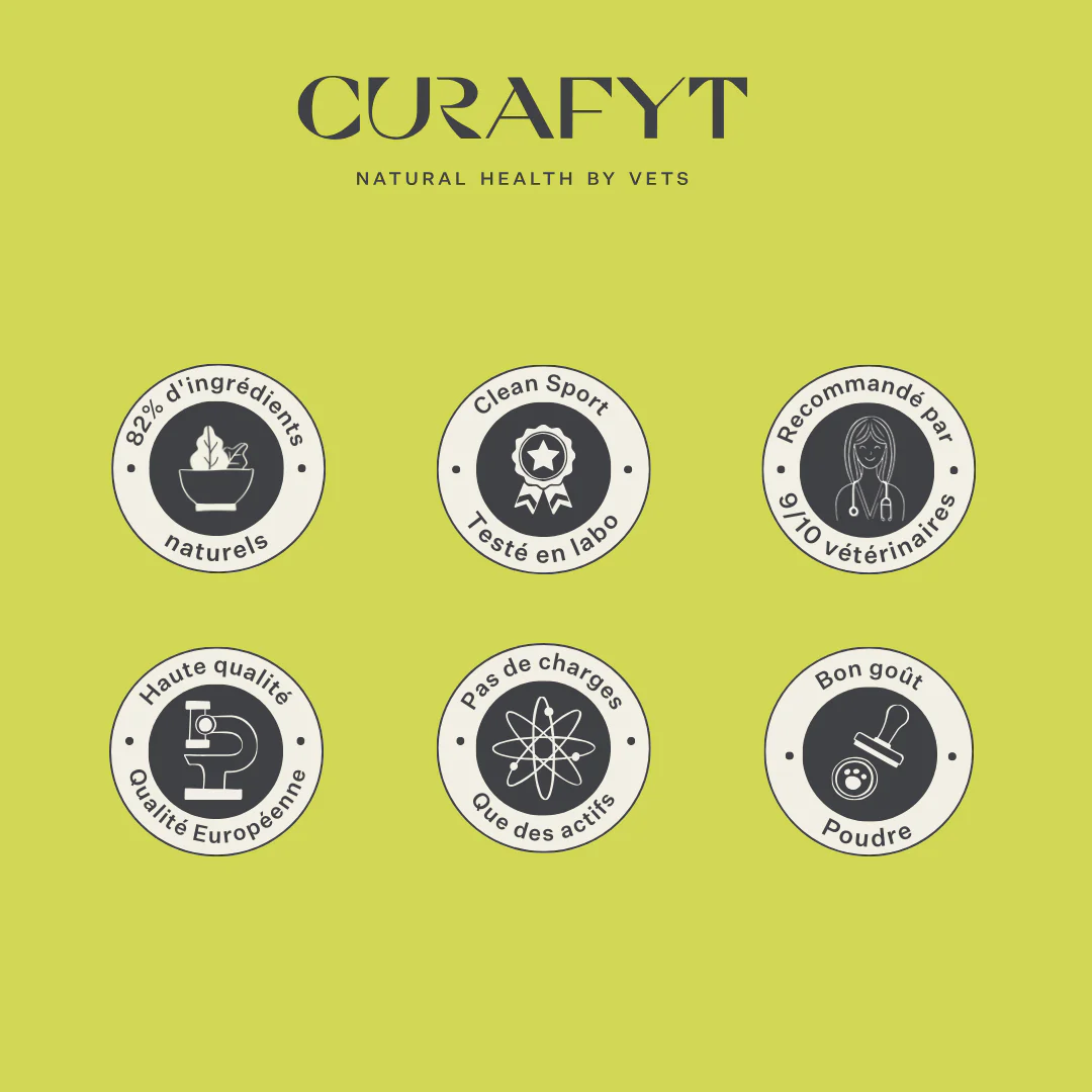 Detox & Drain Supplement - Image 17