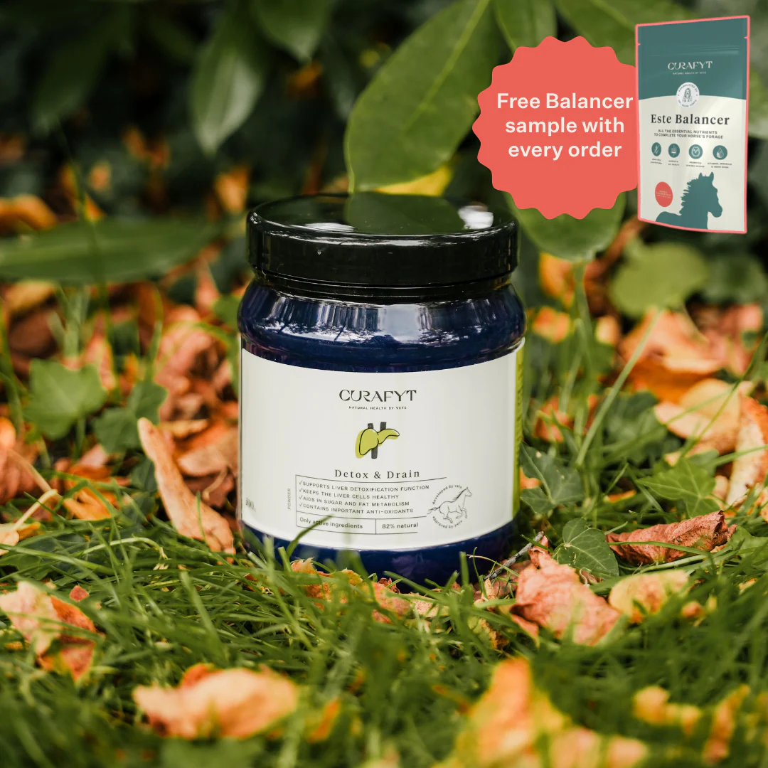 Detox & Drain Supplement - Image 23