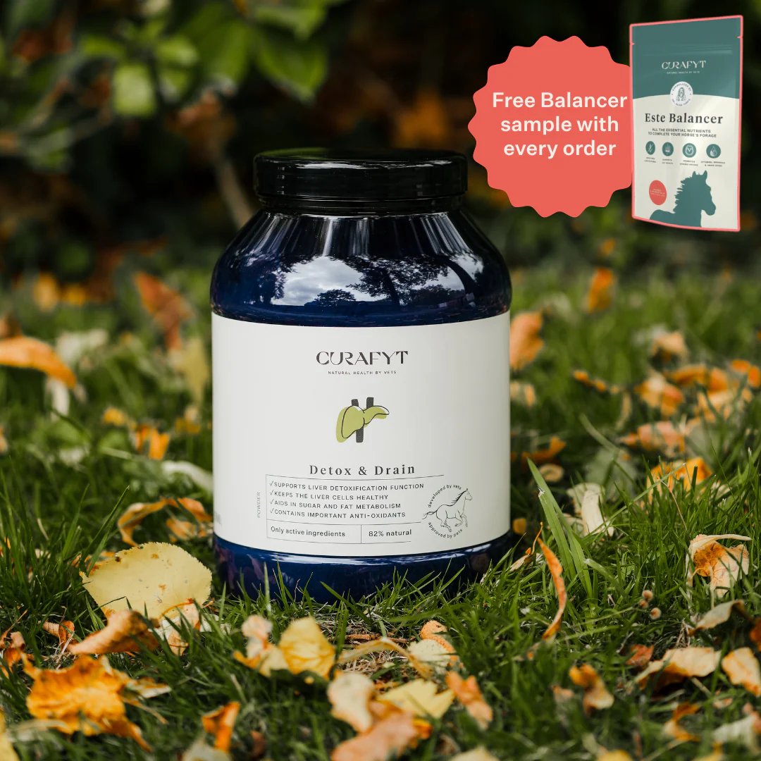 Detox & Drain Supplement - Image 24