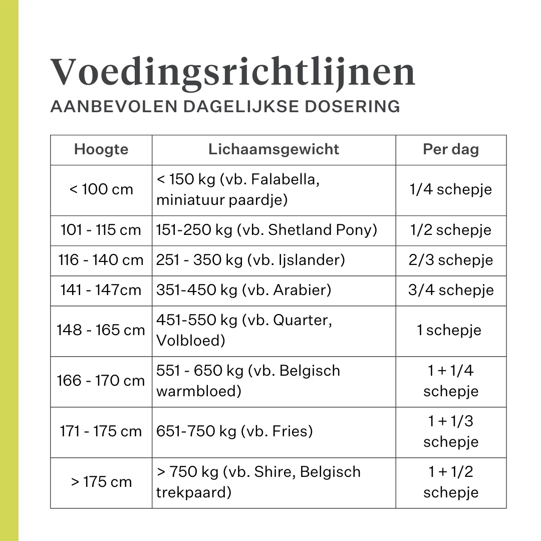 Detox & Drain Supplement - Image 9