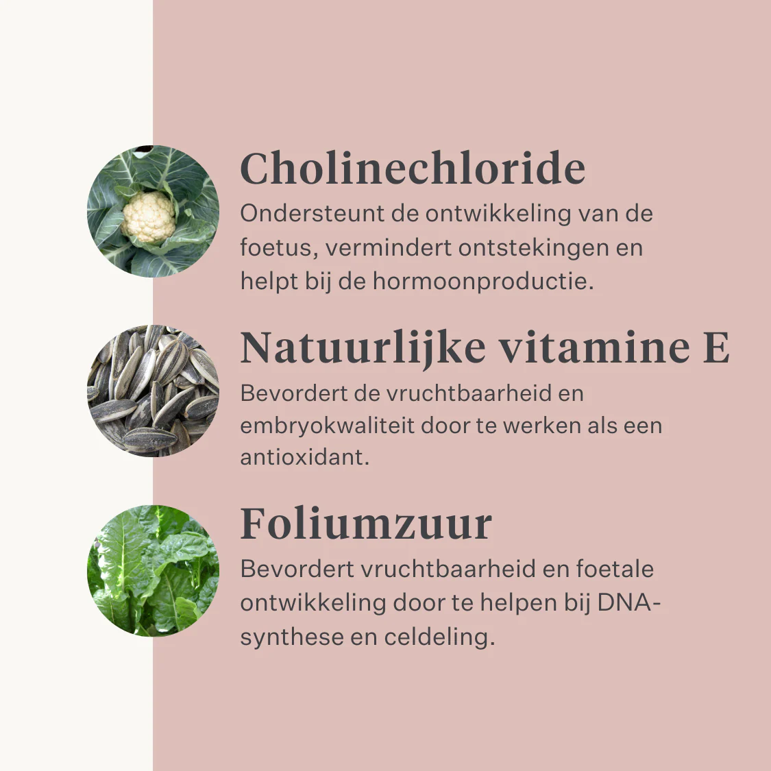 Fresh & Fertile Supplement - Image 15
