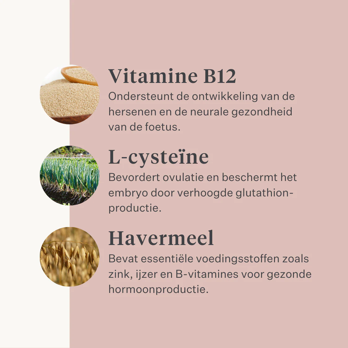 Fresh & Fertile Supplement - Image 16