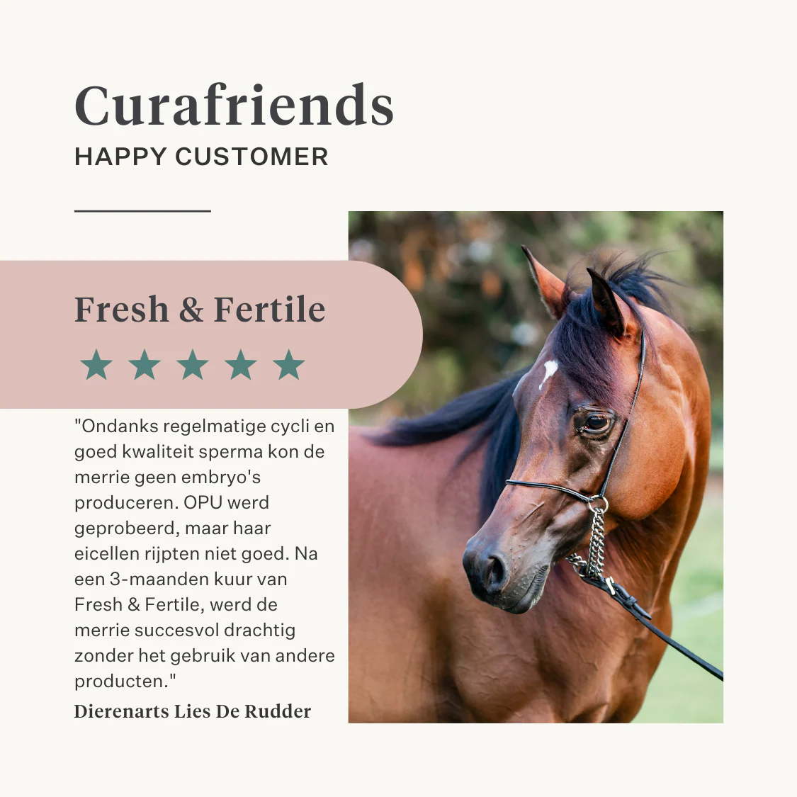Fresh & Fertile Supplement - Image 18