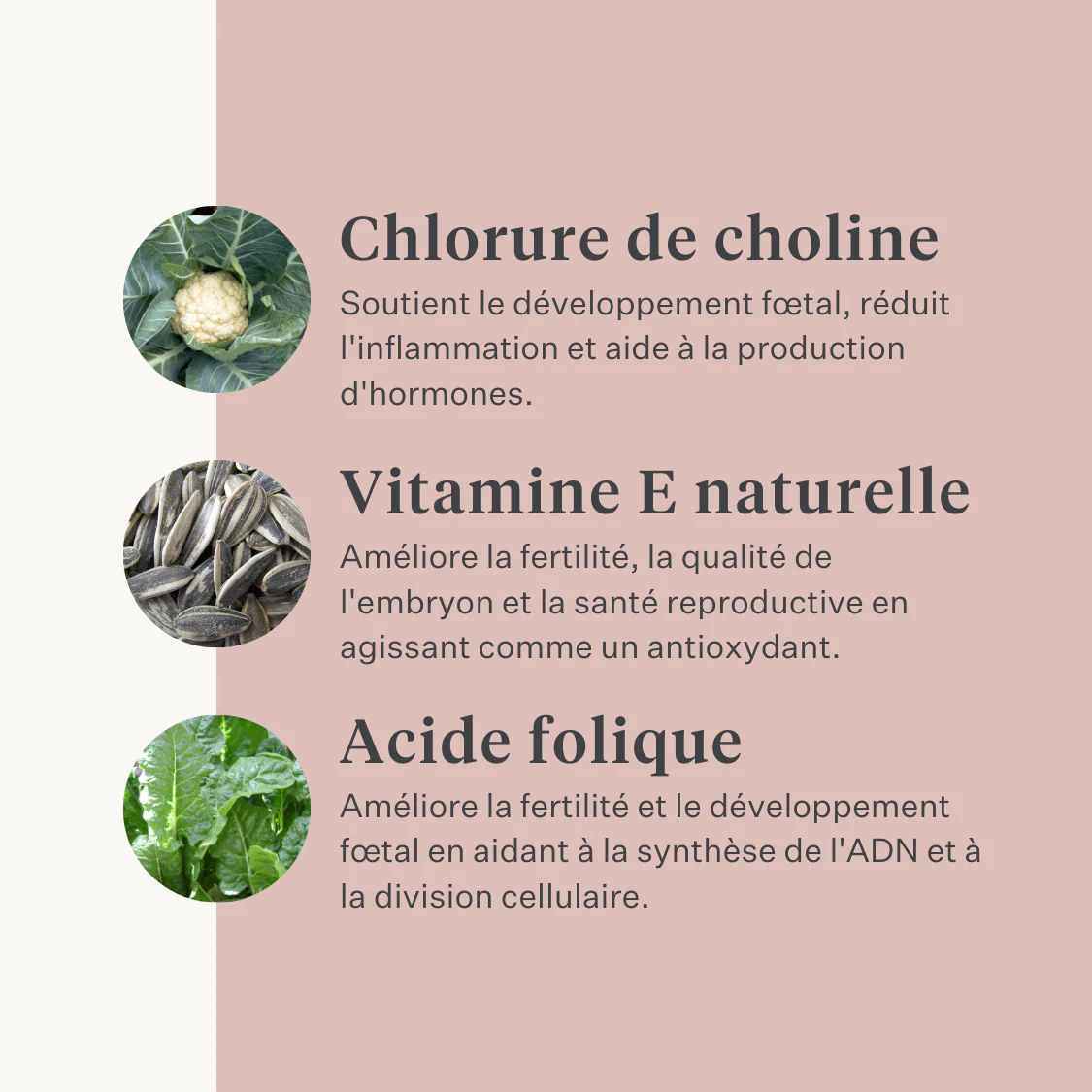 Fresh & Fertile Supplement - Image 24