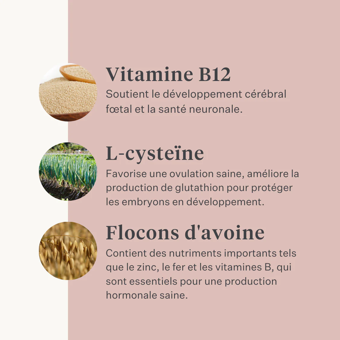 Fresh & Fertile Supplement - Image 25