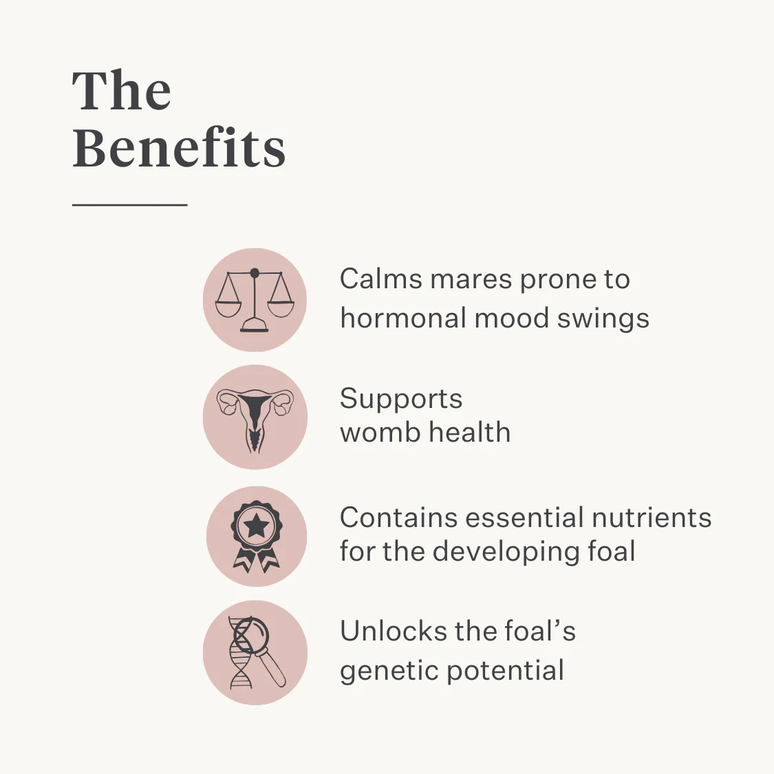 Fresh & Fertile Supplement - Image 3