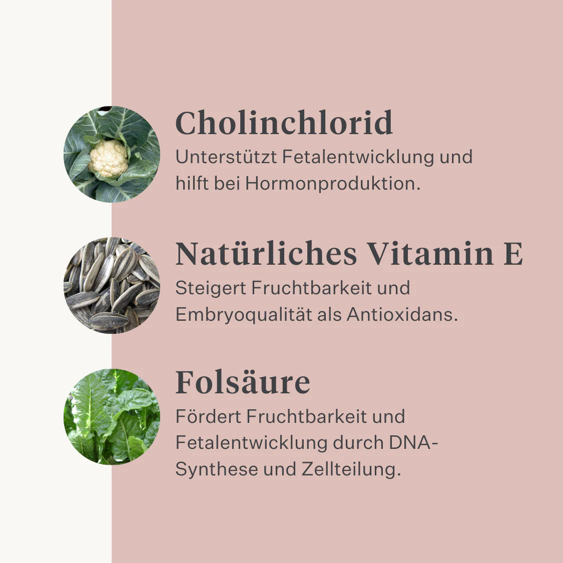 Fresh & Fertile Supplement - Image 33